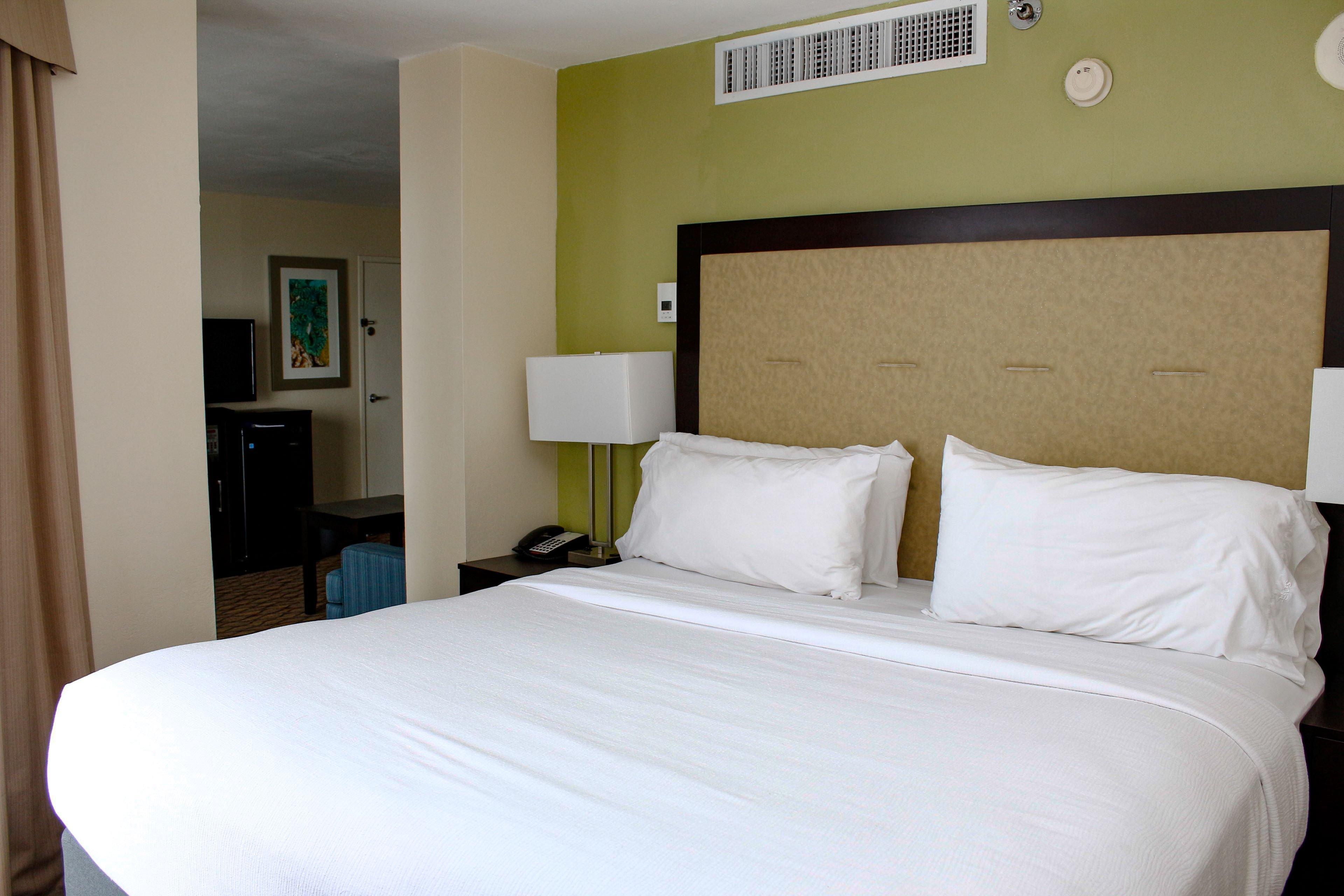 Holiday Inn Corpus Christi Downtown Marina By Ihg Esterno foto