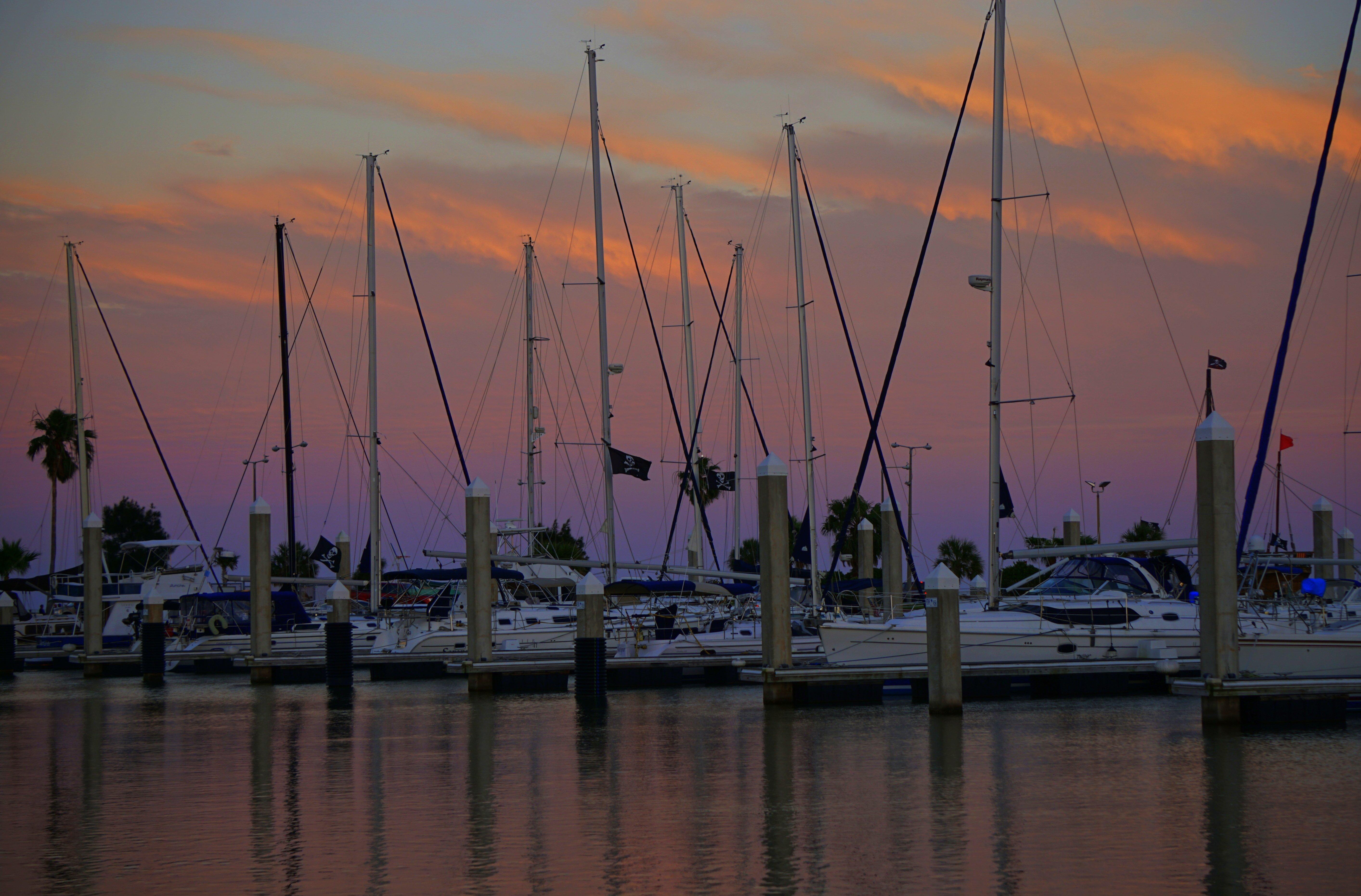 Holiday Inn Corpus Christi Downtown Marina By Ihg Esterno foto